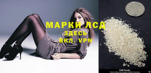 гидра Козловка