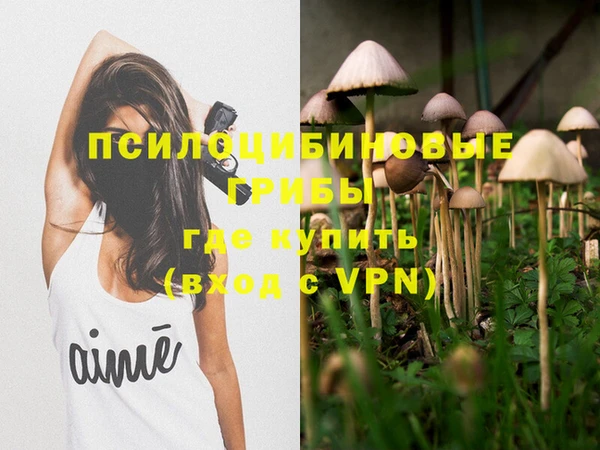 а пвп мука Кодинск