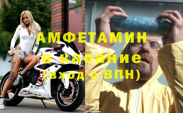 гидра Козловка