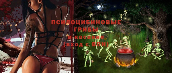 гидра Козловка