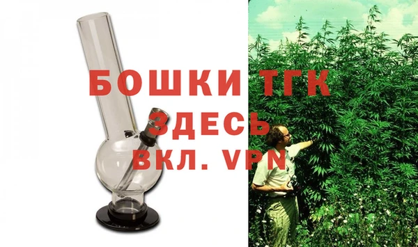 гидра Козловка