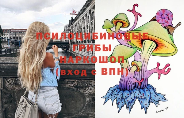 тгк Козельск