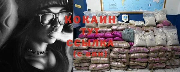 тгк Козельск