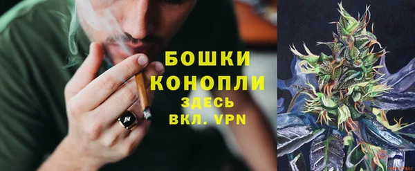 тгк Козельск