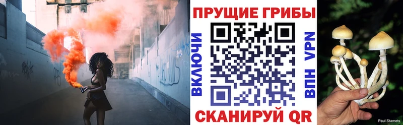 Псилоцибиновые грибы Cubensis  kraken ТОР  Обь 
