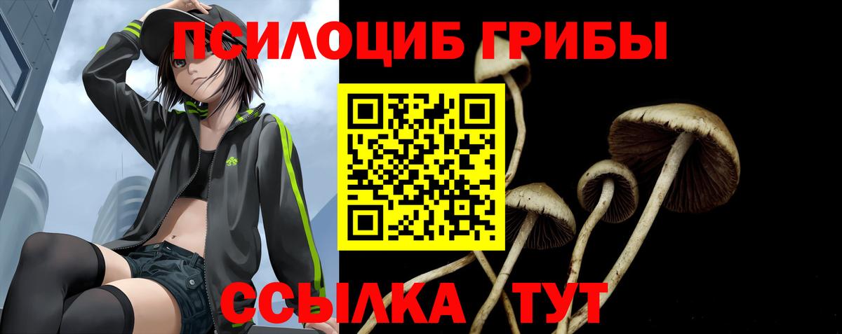 Обь  Псилоцибиновые грибы Cubensis  где продают наркотики  Вход с VPN 